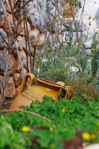 a yellow jug sitting in a garden with plants at Lithos Stone Suites in Areopolis