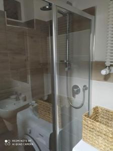 una ducha con una puerta de cristal junto a un lavabo en Giappetto House en Limone Piemonte
