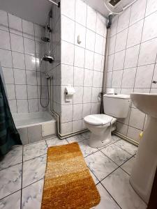 a bathroom with a toilet and a shower and a sink at Pensiunea Folea Rasnov in Râşnov