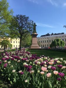 een bloemenveld voor een gebouw bij Atmospheric hundred-year-old stone house apartment near Aurajoki in Turku