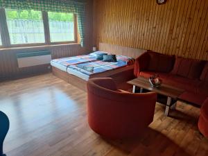 Cette chambre comprend un lit, un canapé et une table. dans l'établissement Apartmány GUGEL MLYNKY, à Mlynky 