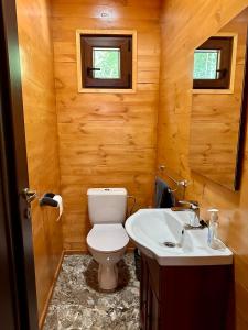 łazienka z toaletą i umywalką w obiekcie Cabana Sia w Sybinie