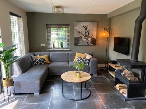 a living room with a couch and a fireplace at Bosboerderij de Goudsberg met hottub in tuin in Lunteren