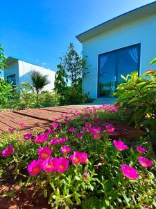 a bunch of pink flowers in front of a house at Hotel Cù Lao 1 in Ấp Thanh Sơn (1)