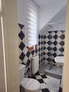 a bathroom with a toilet and a sink at Vila Monica in Târgu-Mureş