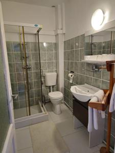 a bathroom with a toilet and a sink and a shower at Vila Monica in Târgu-Mureş