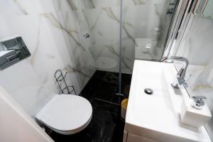 La salle de bains est pourvue de toilettes, d'un lavabo et d'une douche. dans l'établissement Guest Studio, à Braşov