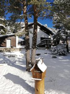 Caille的住宿－Chalet familial à la montagne，屋前的木鸟屋,上面有雪
