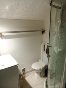 a bathroom with a toilet and a glass shower at Chalet familial à la montagne in Caille