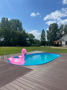 的住宿－Casa cu Flori Maramures，游泳池里的粉红色充气火烈鸟