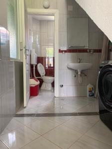 普拉夫的住宿－Rooms Lida & Friendly home，一间带卫生间和水槽的浴室