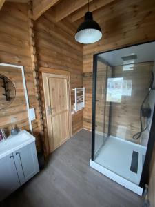 a bathroom with a shower and a sink at chalet de la voie verte en plein coeur du Jura in Montigny-sur-lʼAin +22 photos