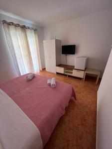 TV a/nebo společenská místnost v ubytování Apartments and Rooms Markovski