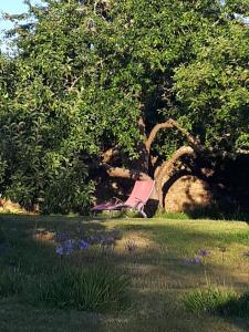 a pink chair sitting in the grass in a field at Le quartier d'hiver, maison d'hôtes in Cléden-Cap-Sizun