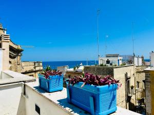 two blue baskets of plants on a roof with the ocean at Santa Scolastica Home in Bari