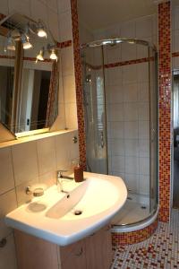 a bathroom with a sink and a shower at Ferienwohnung Oderwind in Oderberg