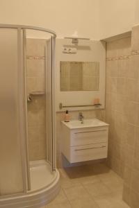 a bathroom with a sink and a shower at Furmint & Juhfark Apartmanok in Veszprém