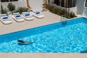 una piscina con sedie e un cane in acqua di Mykonaki Hotel ad Áno Merá