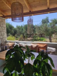 a potted plant in front of a window with a couch at Black Pearl Apartment Lithakia Zakynthos in Lithakia