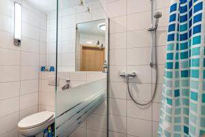 ein Bad mit einer Dusche, einem WC und einem Waschbecken in der Unterkunft im Oberdorf in Achern