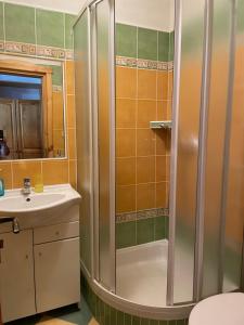 y baño con ducha y lavamanos. en Penzion pod Tatrami en Ždiar