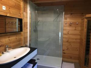 a bathroom with a glass shower and a sink at Charmante maison en bois proche mer in Saint-Jean-de-la-Rivière +13 photos