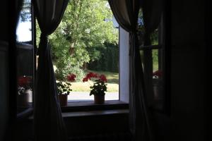 Zahrada ubytování Historické apartmány Zelenohorská pošta