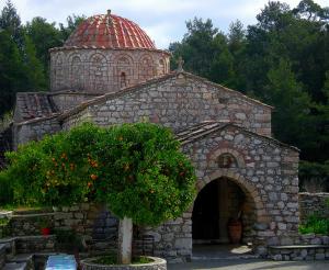a stone building with an orange tree in front of it at Traditional House in Laerma in Láerma