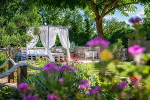 Zahrada ubytování Rustical Holiday Resort Olea