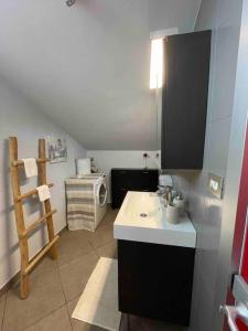 un piccolo bagno con lavandino e specchio di Confortevole appartamento in zona centrale a Torino