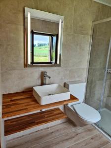a bathroom with a sink and a toilet and a mirror at la ferme de la gaby in Le Noirmont