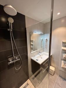 een badkamer met een wastafel en een douche bij Aiguille Noire in Valloire