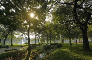 um parque com o sol brilhando através das árvores em Căn hộ Vip 3 Phòng khu Diamond Celadon, ngay Aeon mall Tân Phú em Ho Chi Minh