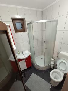 La salle de bains est pourvue d'une douche, de toilettes et d'un lavabo. dans l'établissement Casa Simona, à Botiz