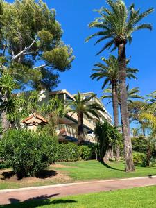 una casa con palmeras delante en Appartement front de mer, 80M2 (3P), Piscine & Mer, en Cannes