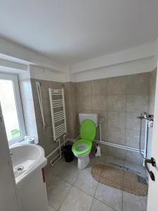 a bathroom with a green toilet and a sink at CONSTANTINESCU A. in Buşteni