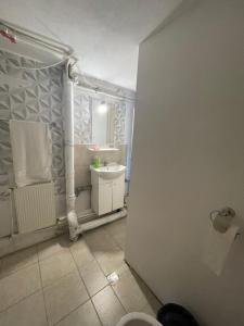 y baño con aseo y lavamanos. en CONSTANTINESCU A., en Buşteni