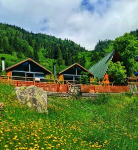 a group of houses in a field with flowers at Yayla Bungalov in Ayder Yaylasi