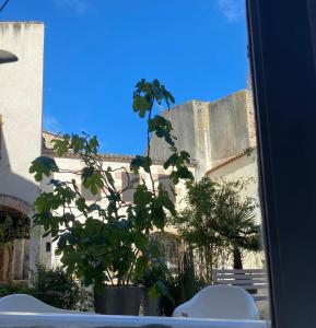 una ventana con una planta frente a un edificio en La maison sur la place en Penne-dʼAgenais