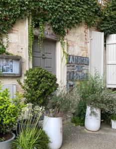 um grupo de plantas em vasos à frente de uma porta em La maison sur la place em Penne-dʼAgenais