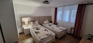 niewielka sypialnia z 2 łóżkami i oknem w obiekcie Apartman Živković w mieście Leskovac