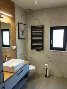 a bathroom with a sink and a toilet and two windows at Domki Gorąca Bania in Gowidlino