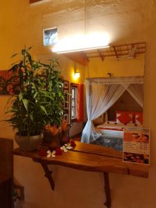 um quarto com uma cama e uma mesa com plantas em La Perla Bentota em Bentota