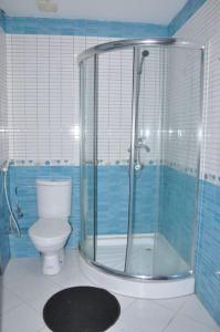 uma casa de banho com um WC e uma cabina de duche em vidro. em Appart spacieux piscine&jardin em Pont Blondin