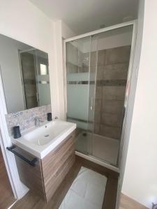 ein Badezimmer mit einem weißen Waschbecken und einer Dusche in der Unterkunft La vie est belle - centre d'Arromanches, terrasse in Arromanches-les-Bains