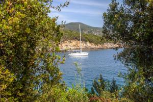 a boat floating on a lake with trees at Zavia Penthouse in Syvota