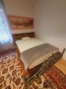 ein Schlafzimmer mit einem Bett in einem Zimmer mit einem Teppich in der Unterkunft A cozy room near warsaw in Michaelsthal