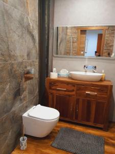 ein Bad mit einem WC und einem Waschbecken in der Unterkunft A cozy room near warsaw in Michaelsthal