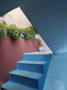 uma escada azul com vasos de plantas numa parede em شفشاون em Chefchaouene