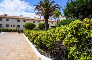 a building with a palm tree and a sidewalk at Bright House, Pool & Workspace near Medano Beach in El Médano